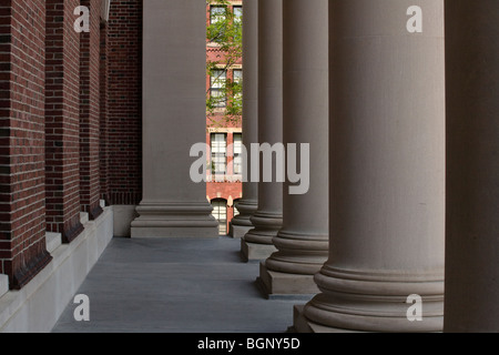 Römische Säulen zieren die Vorderseite des HARRY ELKINS WIDENER MEMORIAL LIBRARY bis 1915 der HARVARD UNIVERSITY - CAMBRIDGE, MAS Stockfoto