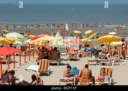 Touristen auf den Liegestühlen Sonnenbaden am Strand während der Sommerferien an der Nordseeküste im Badeort Stockfoto