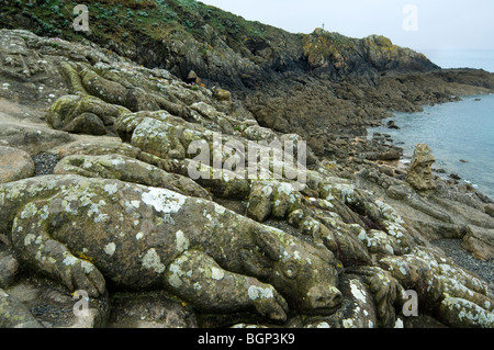 Die Rochers Sculptés durch Abbé Fouré, die mehr als 300 Figuren in den Felsen, Rothéneuf, Ille-et-Vilaine, Bretagne, Frankreich geschnitzt Stockfoto