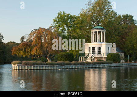 Tempelinsel im Herbst, Themse, Henley on Thames, Oxfordshire, Vereinigtes Königreich Stockfoto