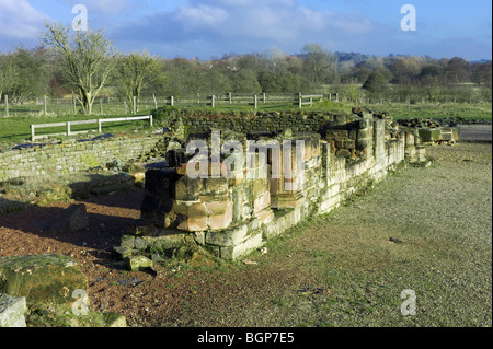 die Ruinen von Bordesley Abbey in Redditch Worcestershire in den Midlands in england Stockfoto