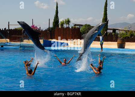 Delphine springen Delfin Show, Mundomar, Benidorm, Alicante Provinz, Comunidad Valenciana, Spanien Stockfoto