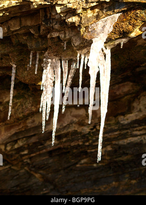 Eiszapfen an der Steilküste, North Cornwall. Stockfoto