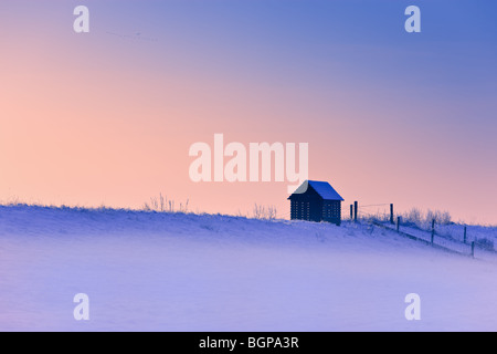 Winter in den Niederlanden in der Kroonpolder in der Nähe von Drieborg, Provinz Groningen, Niederlande Stockfoto