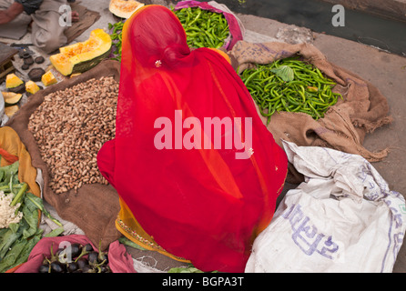 Rajasthani Frau in roten und gelben Sari, Sari, Verkauf von Nüssen und grünen Chilischoten in Jaipur Markt, Rajasthan, Indien Stockfoto