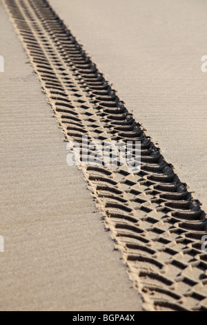 Fahrzeugspuren an einem Strand, die Schädigung der Umwelt Stockfoto