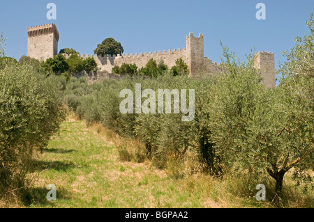 Die Rocca del Leone in Castiglione del Lago, Umbrien Stockfoto