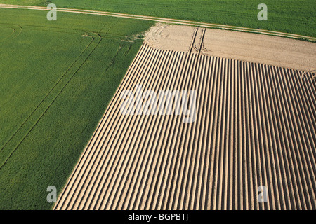 Landwirtschaftliche Fläche mit Feldern und Wiesen aus der Luft, Belgien Stockfoto