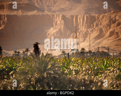 Blick vom Fluss Nil die Totentempel der weibliche Pharao Hatshepsut im Tal des Adels in Luxor in Ägypten Stockfoto