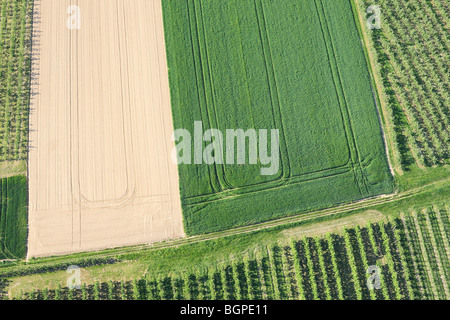 Landwirtschaftliche Fläche mit Feldern und Wiesen aus der Luft, Belgien Stockfoto