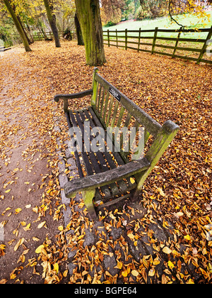 Stein-Sitzbank mit Moos und Herbst Blätter im Garten Immobilien