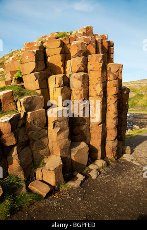 Roten basaltischen Prismen bei der Giant es Causeway Antrim-Nordirland eine natürliche Phänomene und ein UNESCO-Welterbe. Stockfoto