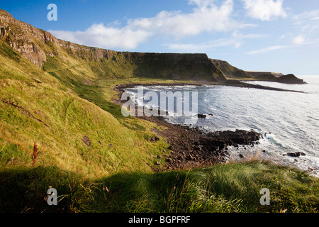 Orgel und Boot Bucht an der Giant es Causeway Antrim Northern Ireland ein Naturphänomen und zum Weltkulturerbe. Stockfoto