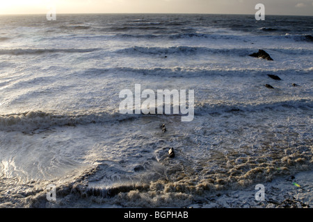 Wellen Welcombe Mund Bucht auf der Devon Cornwall Grenze Stockfoto