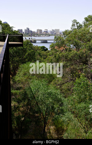 Anzeigen von Perth aus erhöhten Laufsteg im Kings Park in Perth, Western Australia. Stockfoto