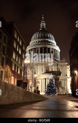 St Pauls Cathedral London beleuchtet auf eine Dezembernacht mit einem Weihnachtsbaum vor der Tür Stockfoto