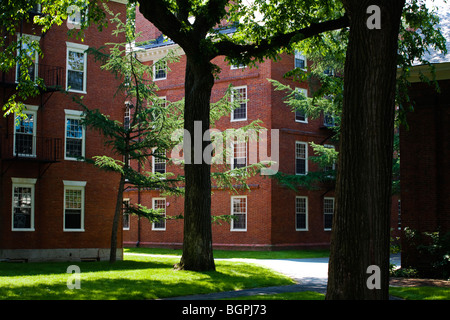 Die BROOKS Brick Schlafsäle an HARVARD UNIVERSITY - CAMBRIDGE, MASSACHUSETTS Stockfoto