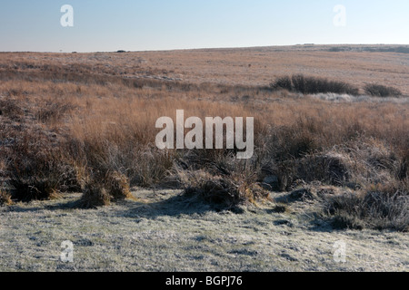 Ein Frostiger Morgen am Bursdon Moor North devon Stockfoto