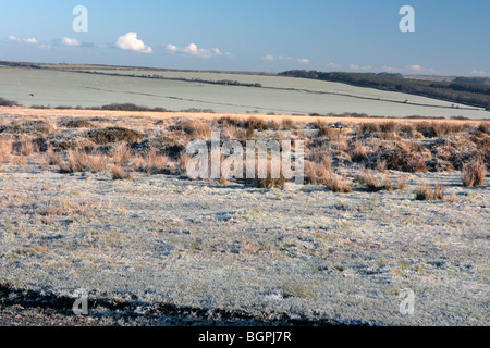 Ein Frostiger Morgen am Bursdon Moor North devon Stockfoto