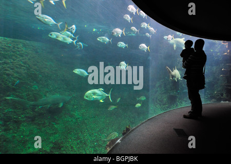 Touristen auf der Suche auf das Nausicaä Sea Aquarium mit tropischen Fischen, Boulogne-sur-Mer, Pas-de-Calais, Frankreich Stockfoto