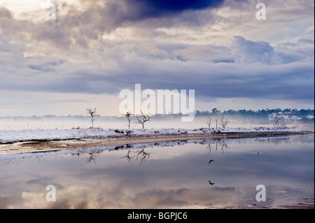 Winterschnee Suffolk Landschaft Fluss Deben Woodbridge Melton Suffolk UK Stockfoto