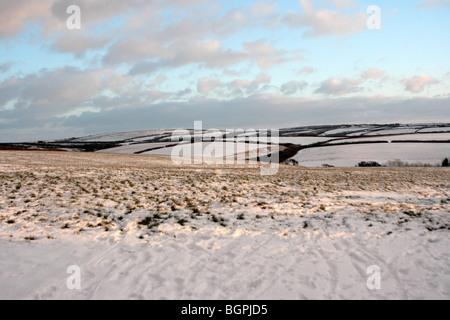 Schneefelder in Devon Januar 2010 Stockfoto