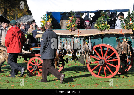 Wagen mit Spiel während das Gedenken des Heiligen Hubertus / St. Hubertus, Brasschaat, Belgien Stockfoto