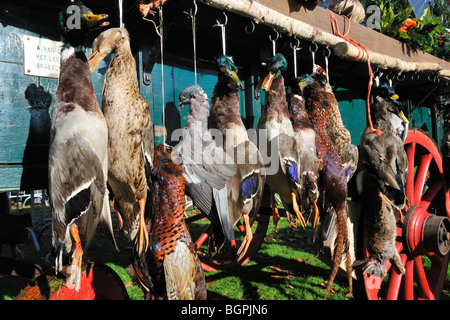 Wagen mit Jagdspiel - Stockente, Ringeltaube, Fasan, Kaninchen - während das Gedenken des Heiligen Hubertus / Hubertus, Belgien Stockfoto