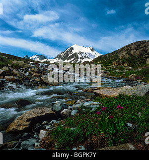 Der Ioldo-Fluss und dem Katun-Grat. Das Altai-Gebirge, Sibirien, Russland Stockfoto