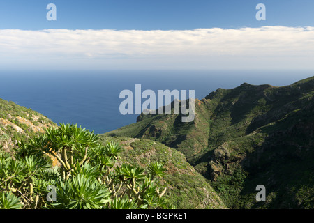 Blick vom Anaga-Gebirge, Teneriffa, Kanarische Inseln, Spanien Stockfoto