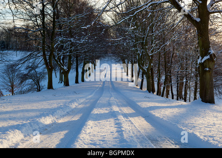 verschneite Fahrspur Stockfoto