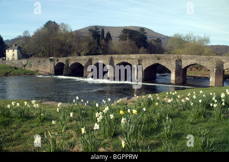 Steinbrücke über den Fluss Usk in der Nähe von Abergavenny, mit Blorange Berg in der Ferne Stockfoto