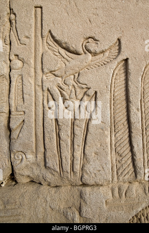 Relief arbeitest du für die ptolemäischen Tempel der Hathor in Dendera, nördlich von Luxor, Nil Senke, Ägypten Stockfoto