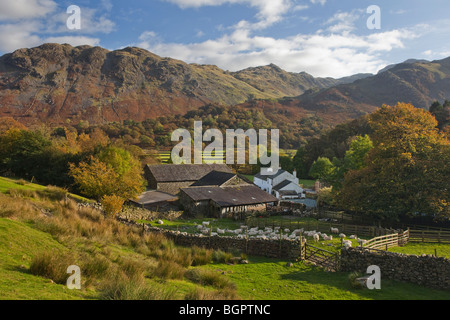 Seatoller im Herbst Borrowdale Tal Cumbria im Lake District Stockfoto