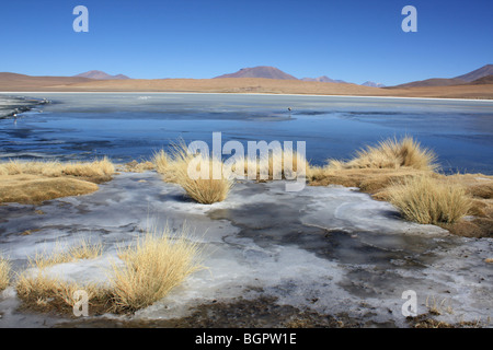 Laguna Hedionda salar de Uyuni, Bolivien Stockfoto