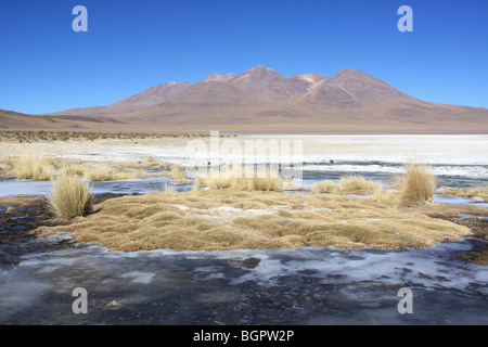 Laguna Hedionda salar de Uyuni, Bolivien Stockfoto