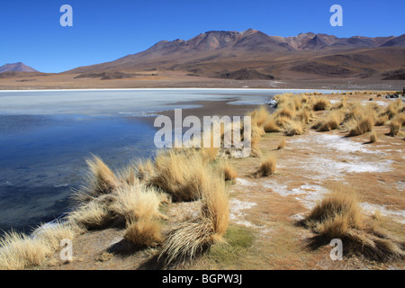 Laguna Hedionda salar de Uyuni, Bolivien Stockfoto