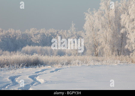 Winterlandschaft, Landstraße mit Auto Trail im tiefen Neuschnee Stockfoto