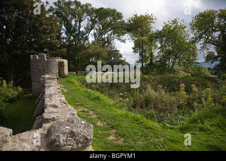 Schloss Aberlleiniog, Wales, Anglesey Stockfoto