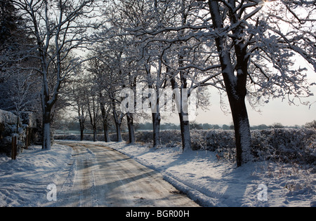 Schnee und Baum Landschaft in Chiltern Hills-Oxfordshire-England-Großbritannien Stockfoto