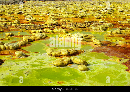 Schwefelsäure-Teich Dallol ist eine vulkanische, Danakil-Senke, Äthiopien Stockfoto