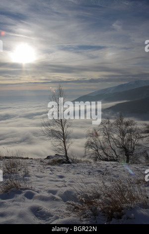 Zentralen Balkan Nationalpark, Winter, Bulgarien Stockfoto