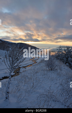 Zentralen Balkan Nationalpark, Winter, Bulgarien Stockfoto