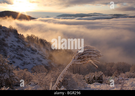 Sonnenaufgang im zentralen Balkan Nationalpark (Stara Planina), die Natur geschützt, Bulgarien, Europa Stockfoto