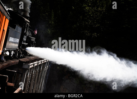 Durango-Silverton Dampfmaschine Zug weht ein Dampfstrahl Überquerung der Animas River, Colorado, USA Stockfoto