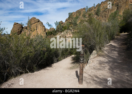 Gabel in Wanderwege zwischen dem Juniper Canyon Trail und der Tunnel Trail, Pinnacles National Monument, California Stockfoto