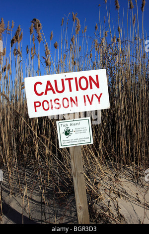 Unterzeichnen Sie Warnung von Poison Ivy zu und kreuzen Sie Gefahren, Long Island, NY Stockfoto