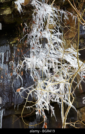 Eiszapfen an den Bäumen und Felswänden am Pontneddfechan entlang dem Fluss Nedd Fechan in Neath Valley, South Wales, Großbritannien Stockfoto