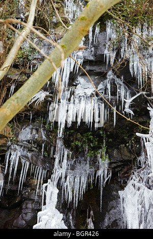 Eiszapfen an den Bäumen und Felswänden am Pontneddfechan entlang dem Fluss Nedd Fechan in Neath Valley, South Wales, Großbritannien Stockfoto