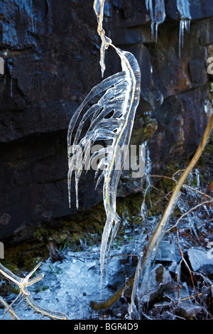 Eiszapfen an den Bäumen und Felswänden am Pontneddfechan entlang dem Fluss Nedd Fechan in Neath Valley, South Wales, Großbritannien Stockfoto